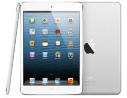 Apple’s iPad mini Works Beautifully with IXACT Contact’s Real Estate CRM